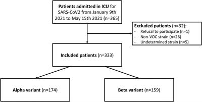 Comparison of SARS-CoV-2 Variants of Concern Alpha (B.1.1.7) vs. Beta (B.1.351) in Critically Ill Patients: A Multicenter Cohort Study